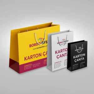Karton Çanta