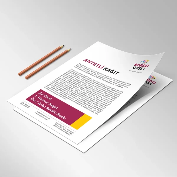 Logo Baskılı A4 Antetli Kağıt