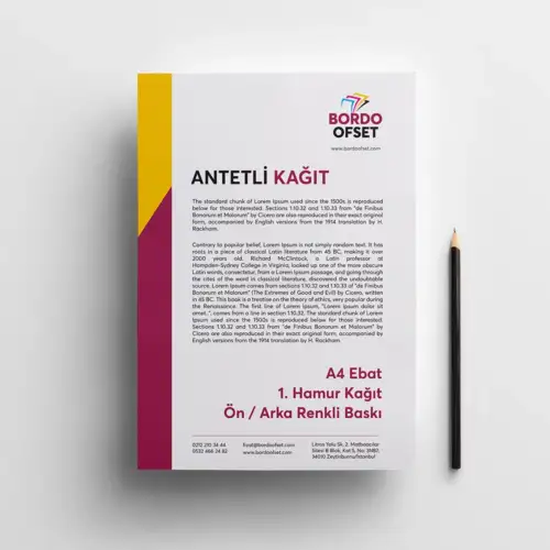 Renkli Baskılı Antetli Kağıt